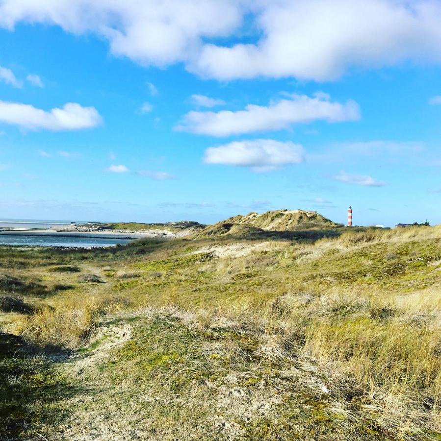 Surf Vue Mer 100M Plage Berck المظهر الخارجي الصورة